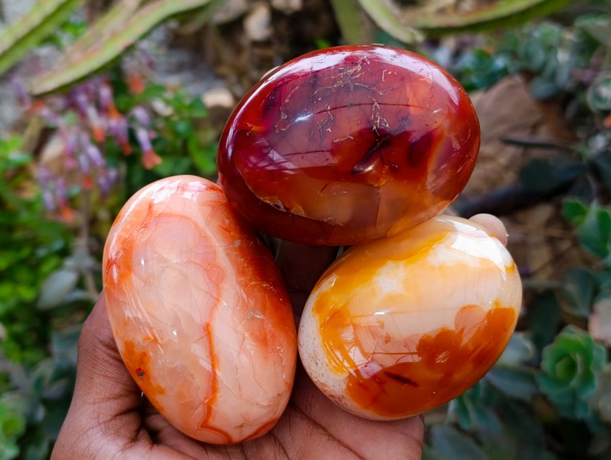 Polished Carnelian Agate Gemstone Galets x 6 From Madagascar - Toprock Gemstones and Minerals 