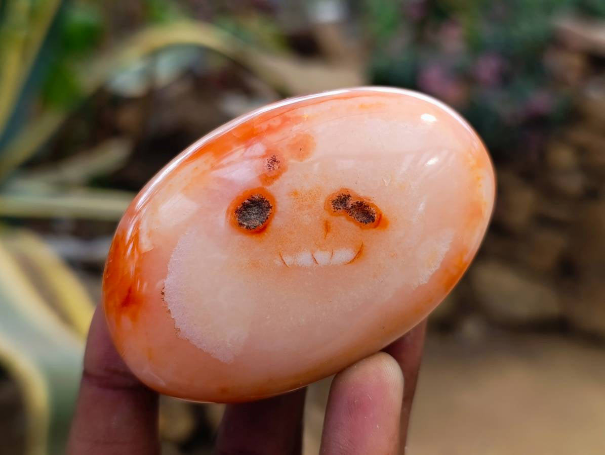 Polished Carnelian Agate Gemstone Galets x 6 From Madagascar - Toprock Gemstones and Minerals 