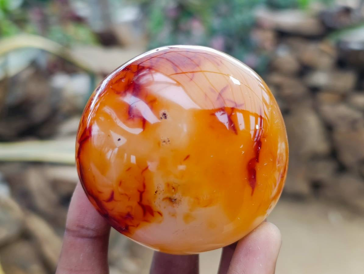 Polished Carnelian Agate Gemstone Galets x 6 From Madagascar - Toprock Gemstones and Minerals 