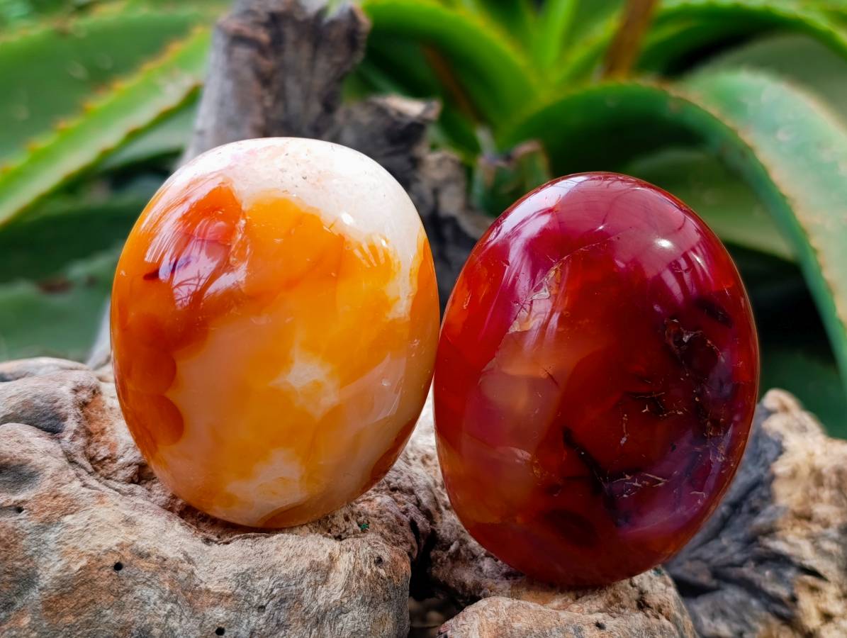 Polished Carnelian Agate Gemstone Galets x 6 From Madagascar - Toprock Gemstones and Minerals 