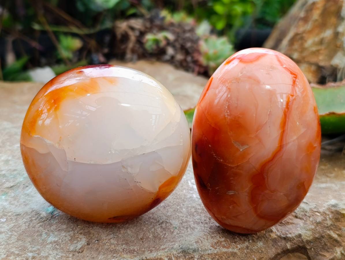 Polished Carnelian Agate Gemstone Galets x 6 From Madagascar - Toprock Gemstones and Minerals 