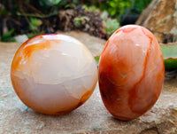 Polished Carnelian Agate Gemstone Galets x 6 From Madagascar