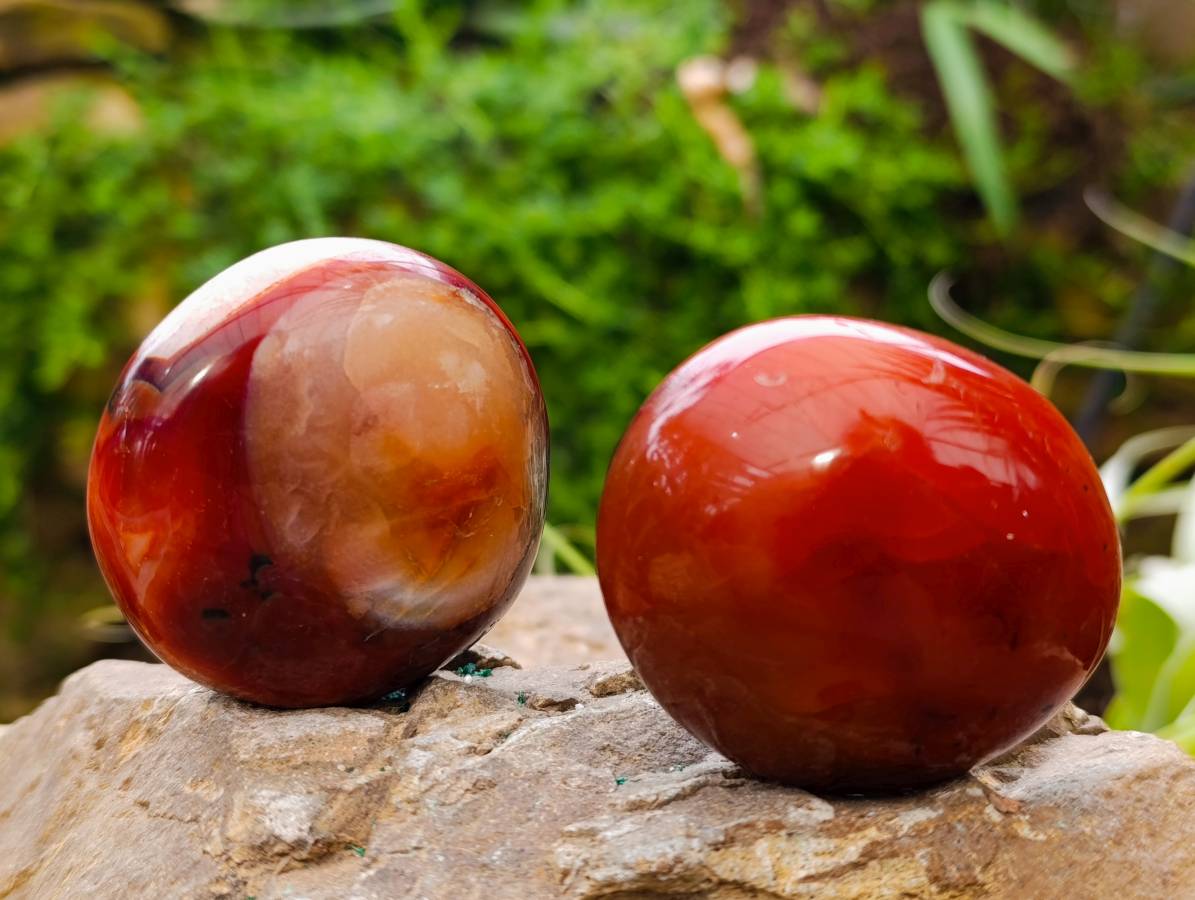 Polished Carnelian Agate Gemstone Galets x 6 From Madagascar - Toprock Gemstones and Minerals 