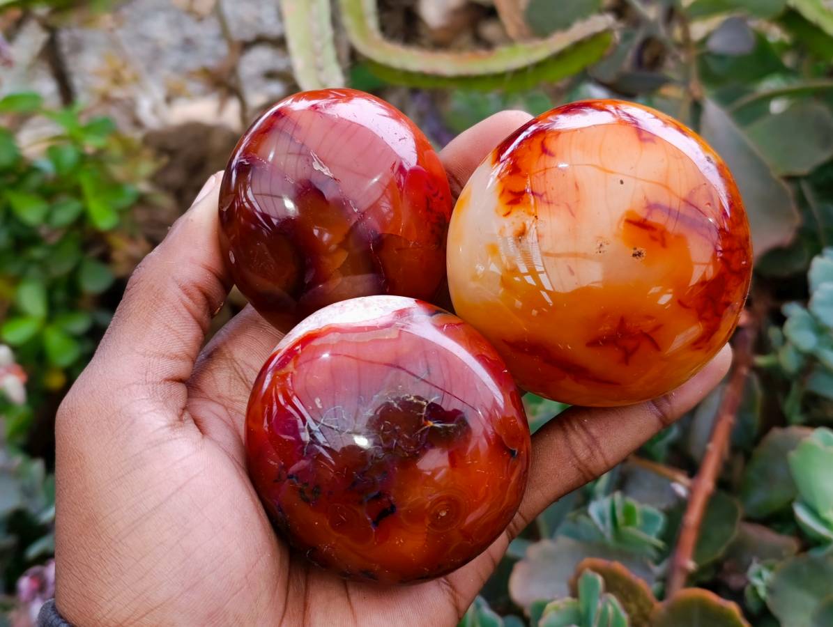 Polished Carnelian Agate Gemstone Galets x 6 From Madagascar - Toprock Gemstones and Minerals 