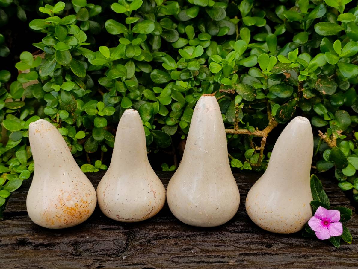 Hand Made Butternut Soapstone Carvings x 4 From Zimbabwe - Toprock Gemstones and Minerals 