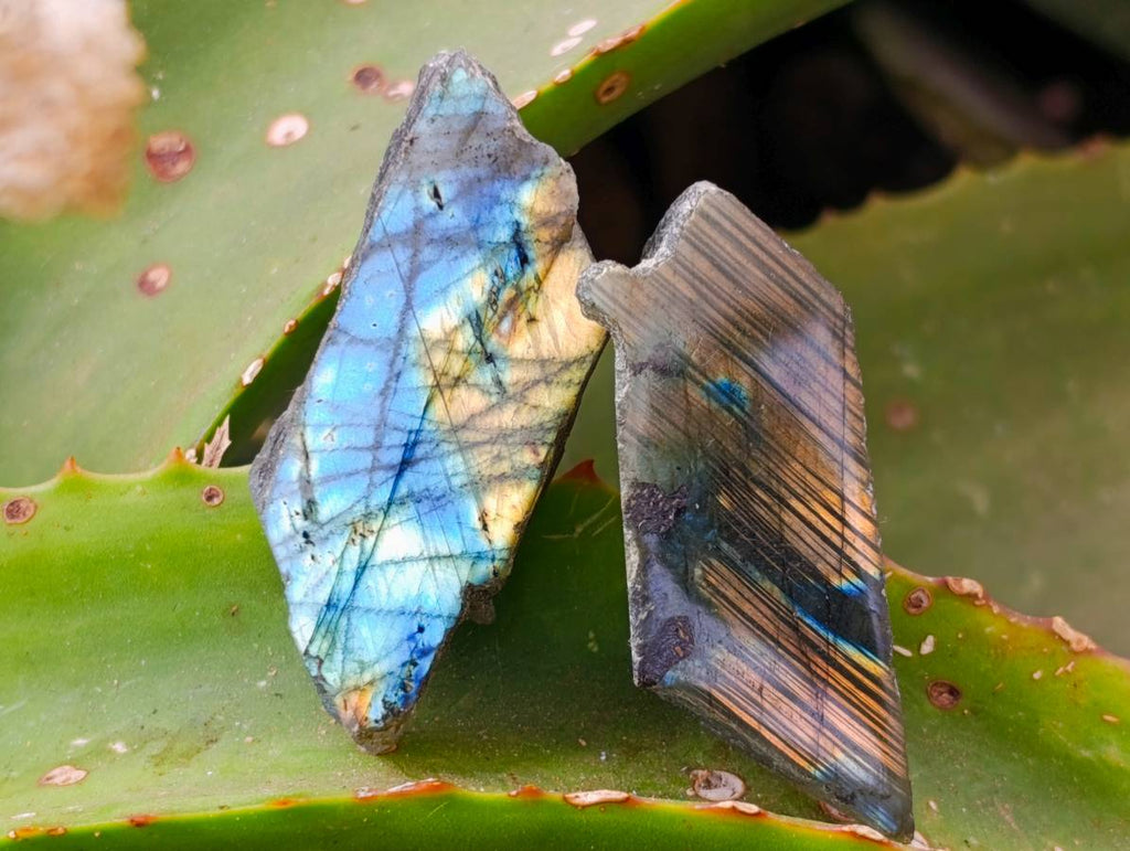 Polished On One Side Labradorite x 35 From Tulear, Madagascar - Toprock Gemstones and Minerals 