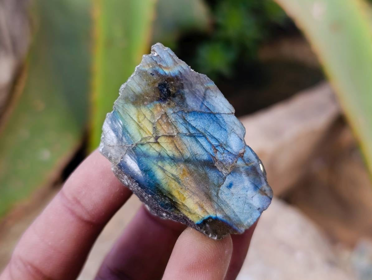 Polished On One Side Labradorite x 35 From Tulear, Madagascar - Toprock Gemstones and Minerals 