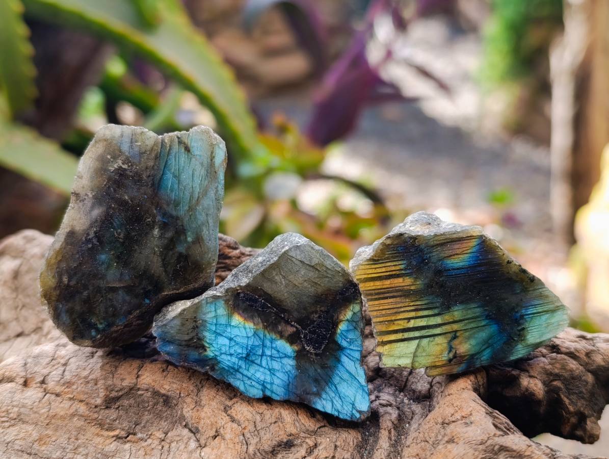 Polished On One Side Labradorite x 35 From Tulear, Madagascar - Toprock Gemstones and Minerals 