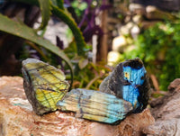 Polished On One Side Labradorite x 35 From Tulear, Madagascar
