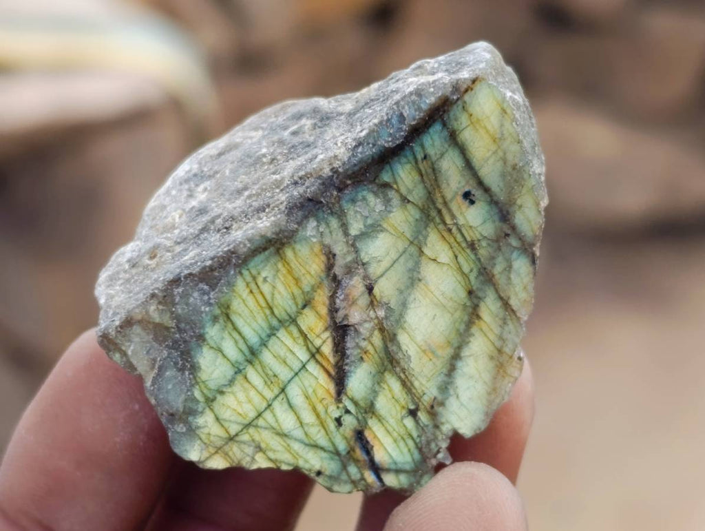 Polished On One Side Labradorite x 35 From Tulear, Madagascar - Toprock Gemstones and Minerals 