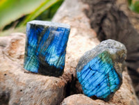 Polished On One Side Labradorite x 35 From Tulear, Madagascar