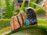 Polished On One Side Labradorite x 35 From Tulear, Madagascar