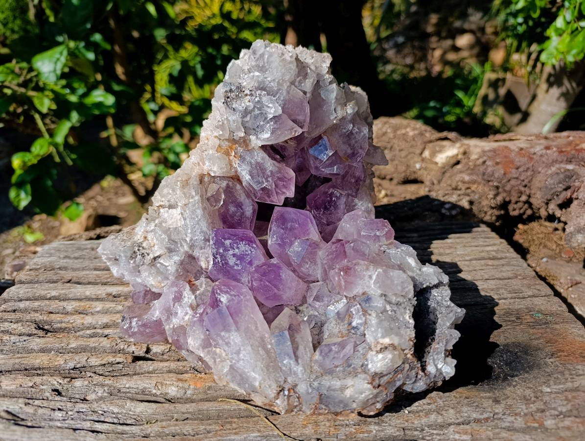 Natural Jacaranda Amethyst Quartz Crystal Geode x 1 From Mumbwa, Zambia - Toprock Gemstones and Minerals 