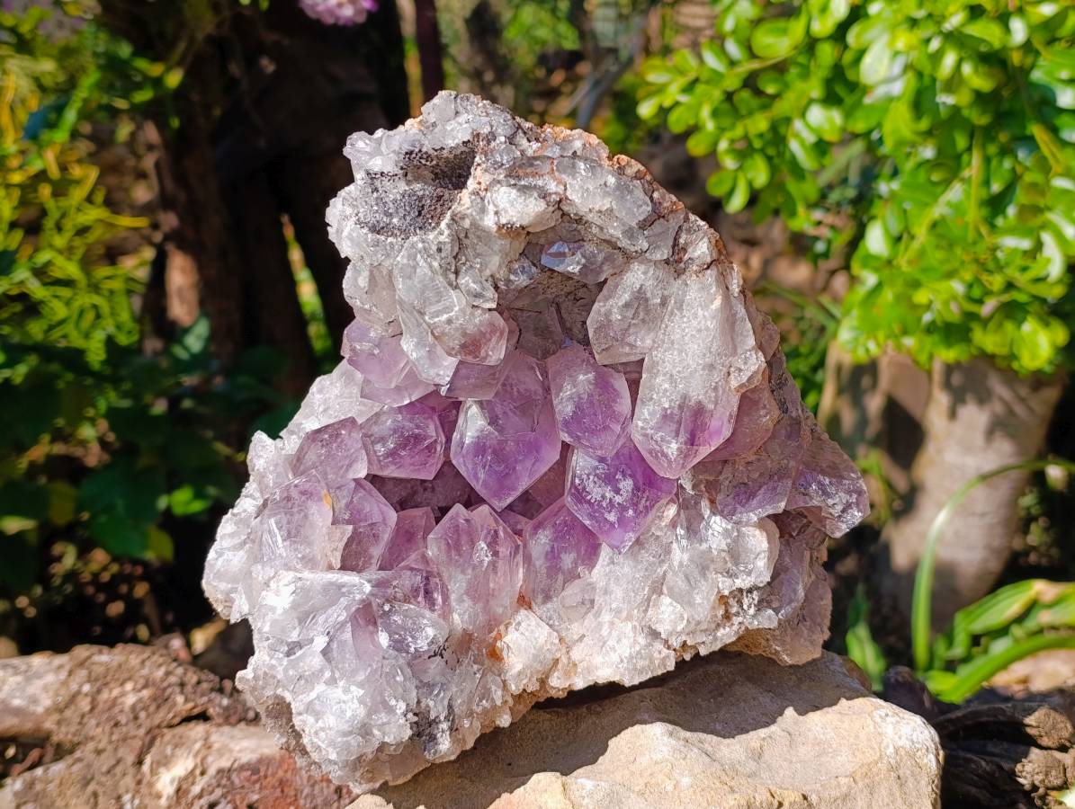 Natural Jacaranda Amethyst Quartz Crystal Geode x 1 From Mumbwa, Zambia - Toprock Gemstones and Minerals 