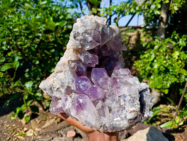 Natural Jacaranda Amethyst Quartz Crystal Geode x 1 From Mumbwa, Zambia