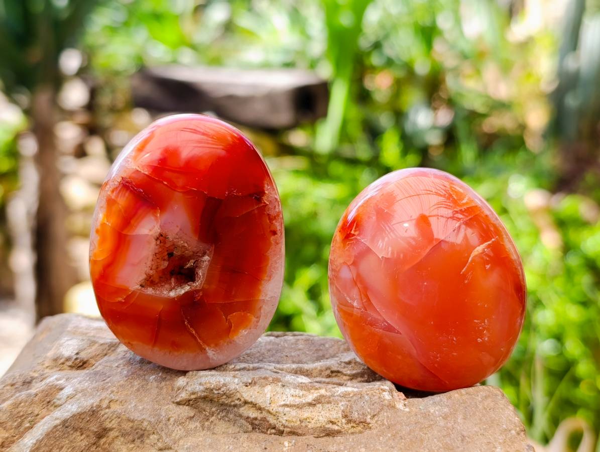 Polished Carnelian Agate Gemstone Galets x 12 From Madagascar - Toprock Gemstones and Minerals 