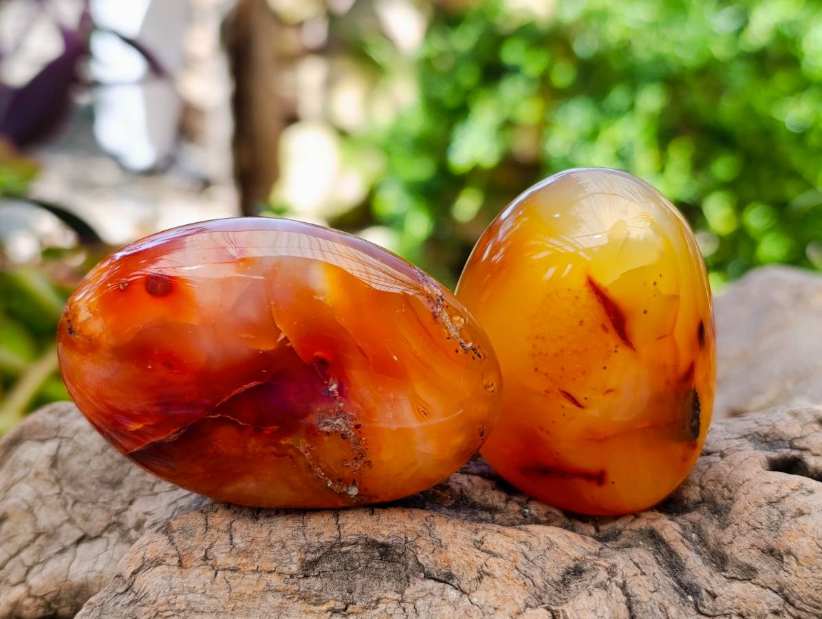 Polished Carnelian Agate Gemstone Galets x 12 From Madagascar - Toprock Gemstones and Minerals 
