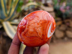 Polished Carnelian Agate Gemstone Galets x 12 From Madagascar - Toprock Gemstones and Minerals 
