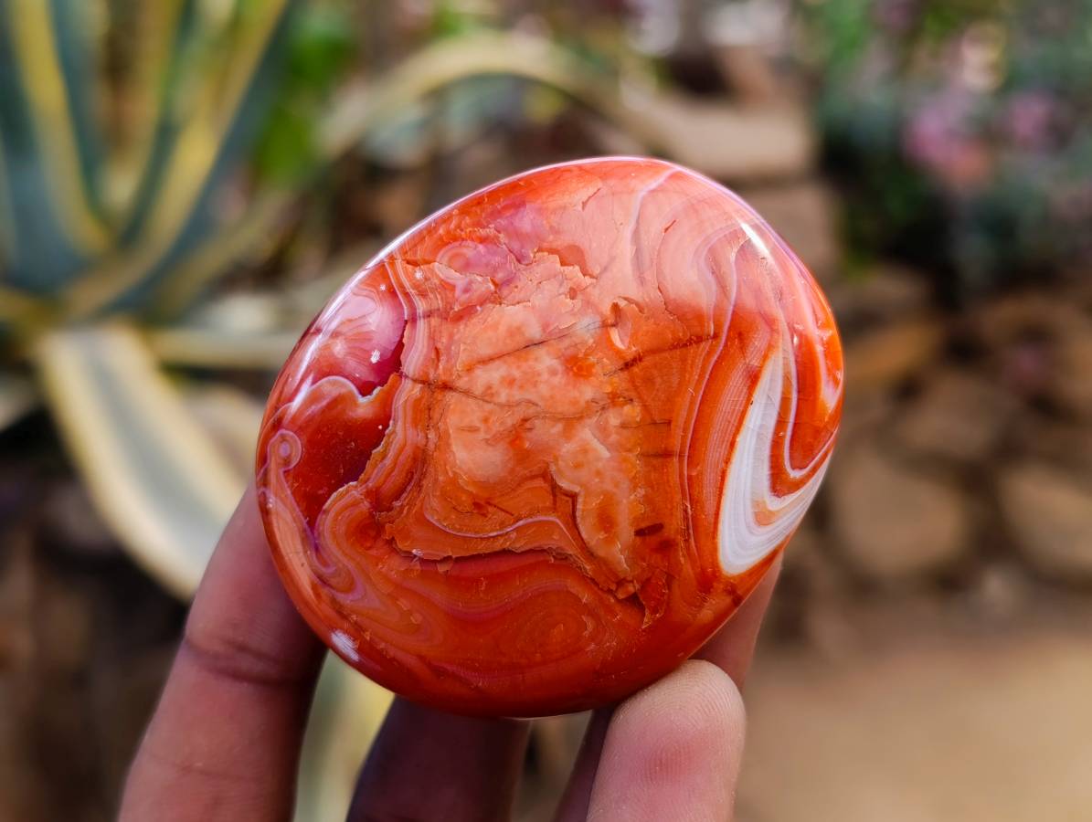 Polished Carnelian Agate Gemstone Galets x 12 From Madagascar - Toprock Gemstones and Minerals 