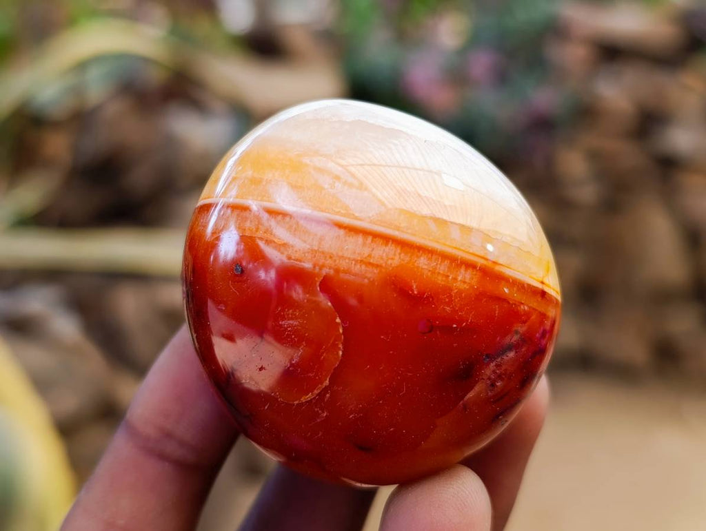 Polished Carnelian Agate Gemstone Galets x 12 From Madagascar - Toprock Gemstones and Minerals 