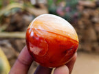 Polished Carnelian Agate Gemstone Galets x 12 From Madagascar - Toprock Gemstones and Minerals 