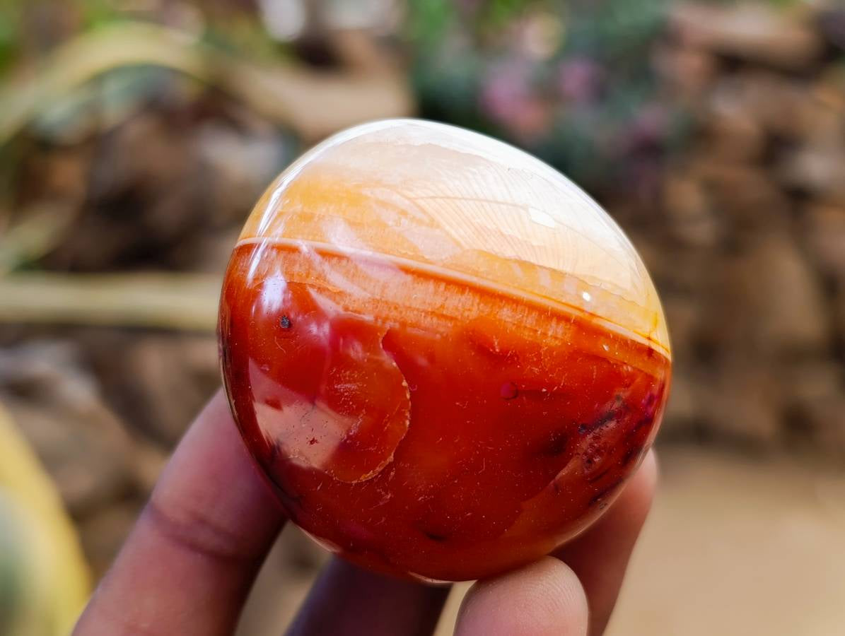 Polished Carnelian Agate Gemstone Galets x 12 From Madagascar - Toprock Gemstones and Minerals 