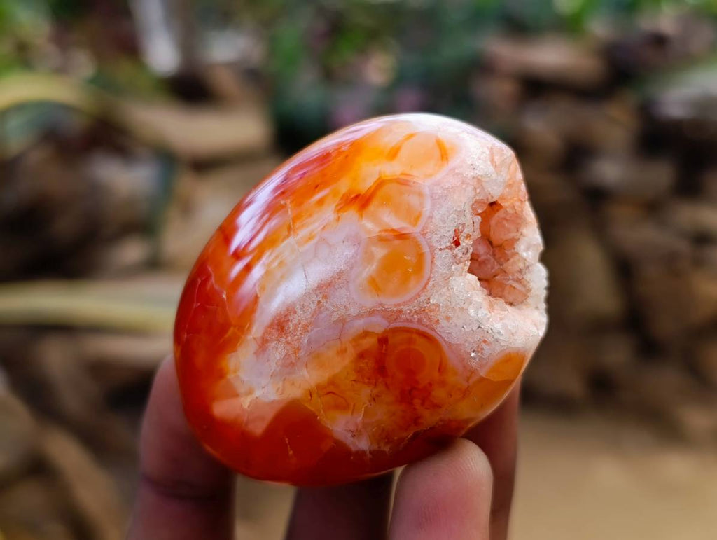 Polished Carnelian Agate Gemstone Galets x 12 From Madagascar - Toprock Gemstones and Minerals 