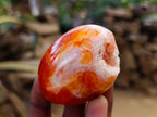 Polished Carnelian Agate Gemstone Galets x 12 From Madagascar - Toprock Gemstones and Minerals 