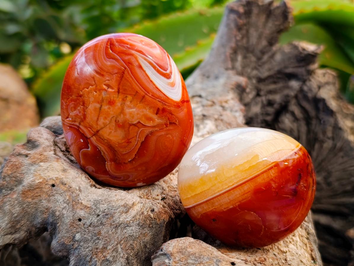 Polished Carnelian Agate Gemstone Galets x 12 From Madagascar - Toprock Gemstones and Minerals 