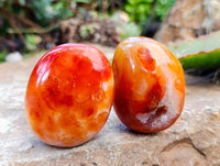 Polished Carnelian Agate Gemstone Galets x 12 From Madagascar