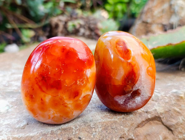Polished Carnelian Agate Gemstone Galets x 12 From Madagascar
