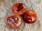 Polished Carnelian Agate Gemstone Galets x 12 From Madagascar - Toprock Gemstones and Minerals 