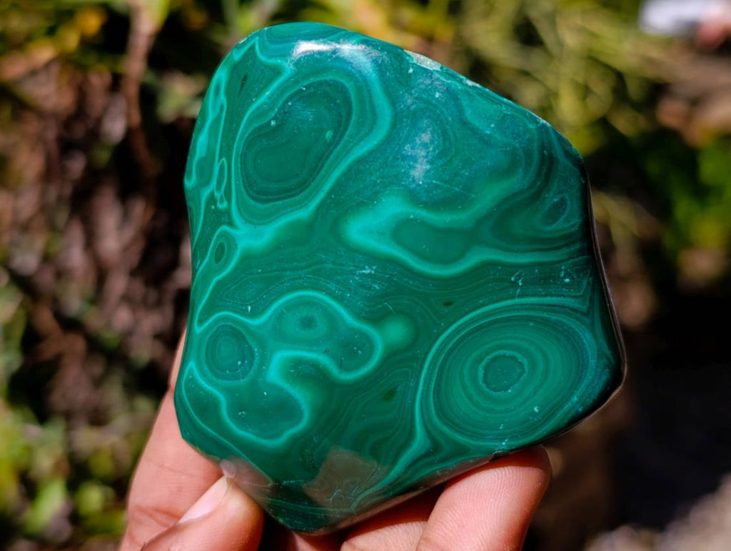 Polished Flower Banded Malachite Free Forms x 6 From Congo - Toprock Gemstones and Minerals 