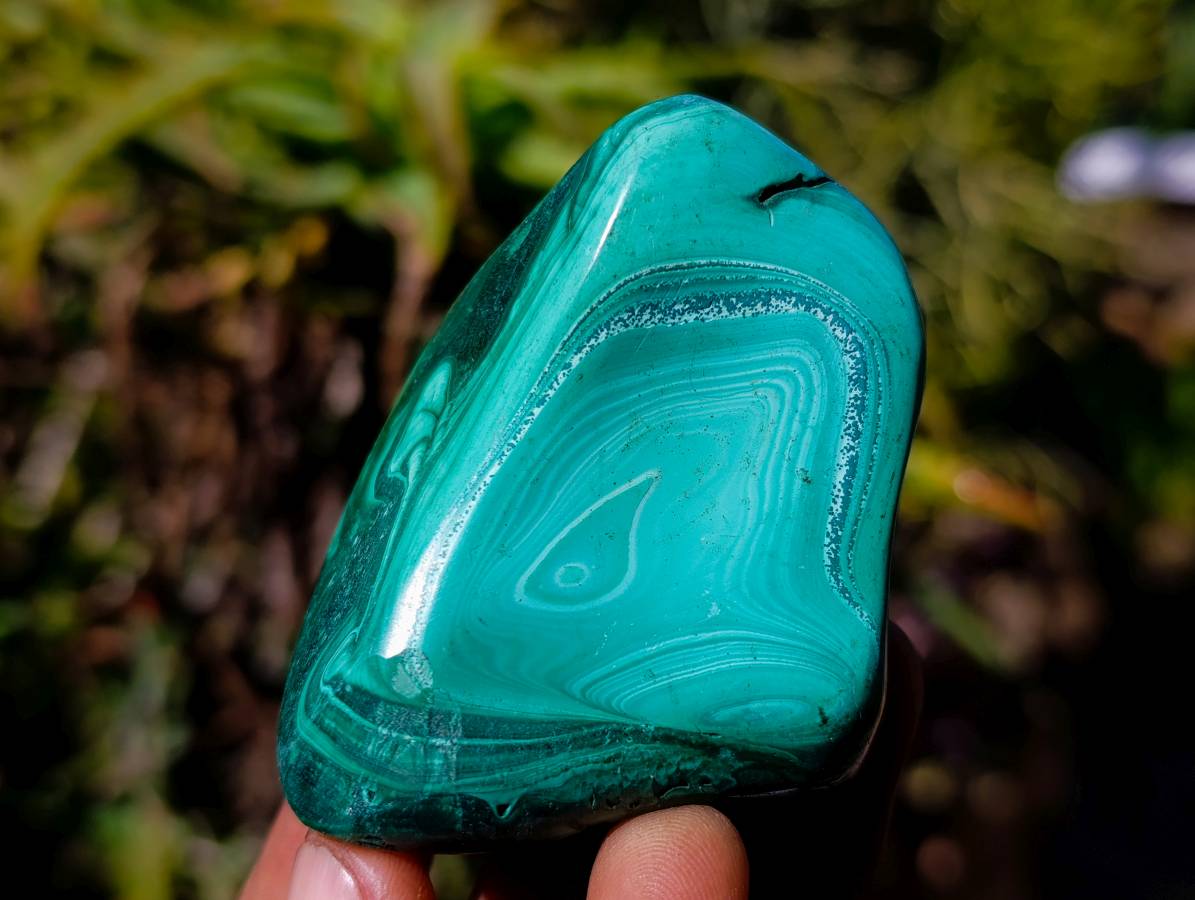 Polished Flower Banded Malachite Free Forms x 6 From Congo - Toprock Gemstones and Minerals 