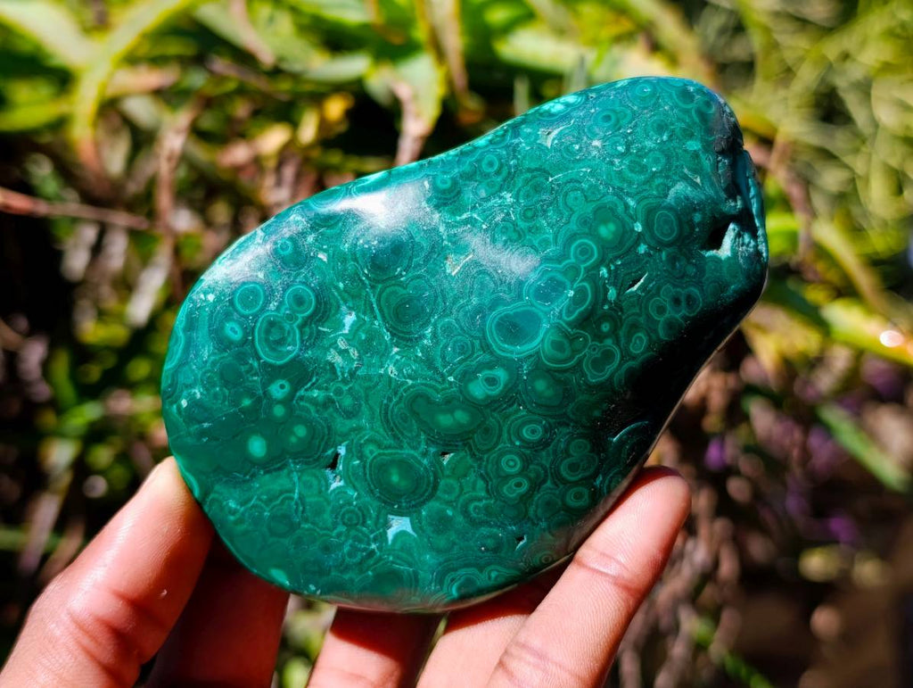 Polished Flower Banded Malachite Free Forms x 6 From Congo - Toprock Gemstones and Minerals 