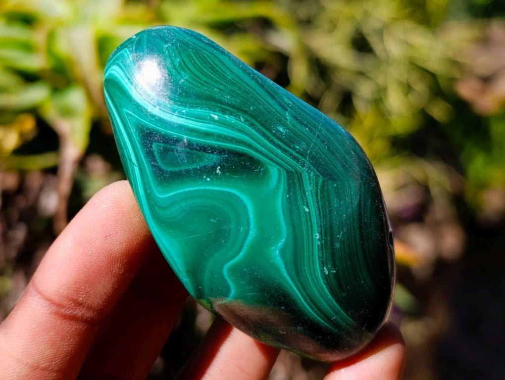 Polished Flower Banded Malachite Free Forms x 6 From Congo - Toprock Gemstones and Minerals 