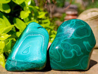 Polished Flower Banded Malachite Free Forms x 6 From Congo