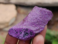 Natural Stichtite Cobbed Specimens x 2,91 Kg Lot - From Barberton, South Africa