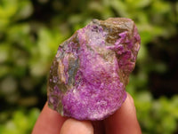 Natural Stichtite Cobbed Specimens x 2,91 Kg Lot - From Barberton, South Africa