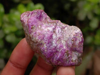 Natural Stichtite Cobbed Specimens x 2,91 Kg Lot - From Barberton, South Africa