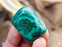 Polished Flower Banded Malachite Free Forms x 35 From Congo
