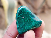 Polished Flower Banded Malachite Free Forms x 35 From Congo