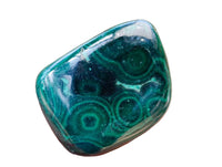 Polished Flower Banded Malachite Free Forms x 35 From Congo