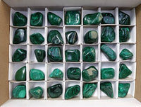 Polished Flower Banded Malachite Free Forms x 35 From Congo
