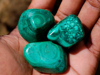 Polished Flower Banded Malachite Free Forms x 35 From Congo