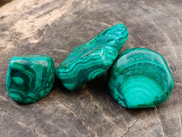Polished Flower Banded Malachite Free Forms x 35 From Congo