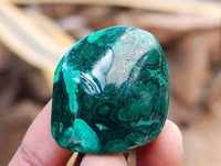 Polished Flower Banded Malachite Free Forms x 35 From Congo
