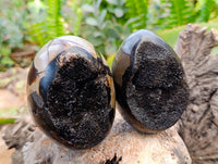Polished Septerye Sauvage "Dragons" Egg Geodes x 4 From Madagascar
