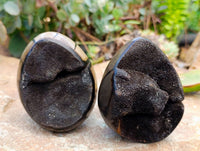Polished Septerye Sauvage "Dragons" Egg Geodes x 4 From Madagascar