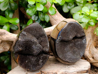 Polished Septerye Sauvage "Dragons" Egg Geodes x 4 From Madagascar